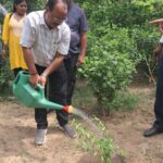 हरियालो राजस्थानः पत्रकारों ने लगाया एक पेड़ मां के नाम, पर्यावरण में दिया अमूल्य योगदान