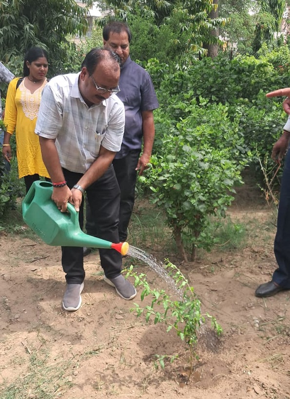 हरियालो राजस्थानः पत्रकारों ने लगाया एक पेड़ मां के नाम, पर्यावरण में दिया अमूल्य योगदान